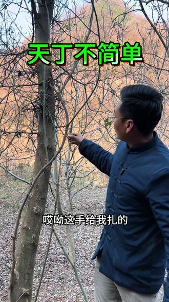 皂角刺是个宝贝别错过了#皂角刺#皂角刺炖猪心 #小妙招