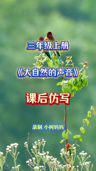 三年级上册语文《大自然的声音》课后仿写#小学 #语文 #学习 #教育 #好书推荐