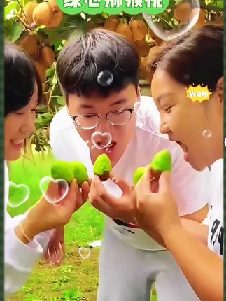 阳光下,绿植间,猕猴桃的清甜让人沉醉~🌳🥝#猕猴桃#绿心猕猴桃 #猕猴桃推荐#丰富维生素c