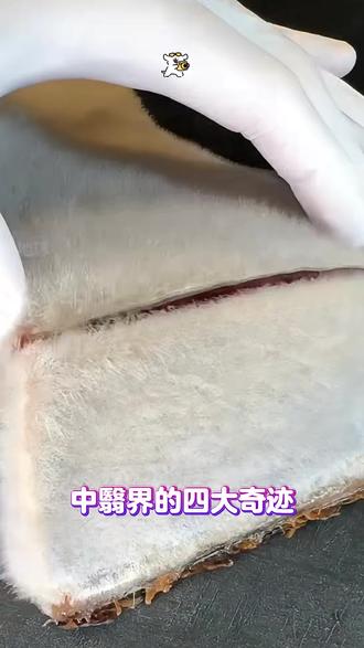 怪不得身边人都在用的秋大夫,原来这么权威!!!