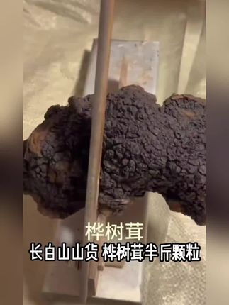 长白山山货桦树茸半斤颗粒天然桦褐孔菌茶泡水白桦茸茶金银花新茶#2025新茶#口粮茶#茶叶#上热门#好茶推荐