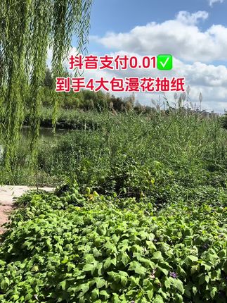 我滴老天呢,家人老铁们,快来看,中秋节国庆节双节来袭啦,漫花也来大羊毛了,这个价就到手4大包的抽纸,还是4层加厚,压花设计,170✖️140的大纸张,纸张厚实有韧性,揉搓不掉絮,不含荧光剂,母婴都可用,湿水也不易破,妥妥的小湿巾,纸是消耗品,刷到赶紧囤#抽由纸 #生活用纸#漫花纸巾 #新人福利第一单#无限回购的宝藏单品