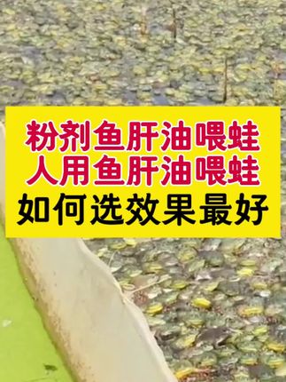 蛙用鱼肝油如何正确选择?#牛蛙养殖#泰蛙养殖#石蛙养殖