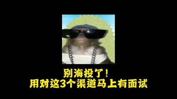 别海投了,用对这3个渠道马上有面试#找工作#求职技巧#大学生找工作#求职渠道