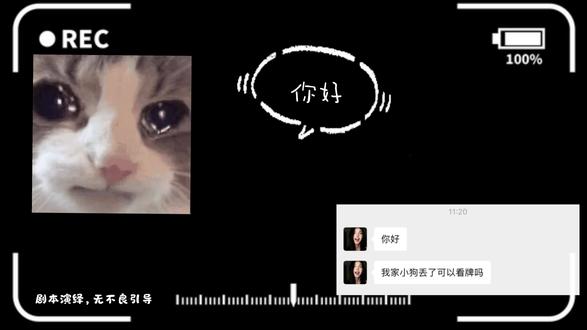 怎么找到一只丢失的小狗呢?#世界破破烂烂小狗缝缝补补 #塔罗测试 #相信科学拒绝迷信 #塔罗娱乐向 #塔罗