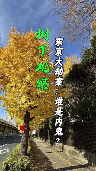 东京连环大劫案背后 昨晚(1月29日)夜里,东京连续发生两起劫案,目标精准,手法娴熟,你觉得是偶然吗?#东京大劫案#上野抢劫案#日本