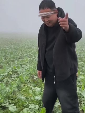 #水果萝卜 #萝卜 #新鲜采摘 #超便宜超划算 #脆甜多汁