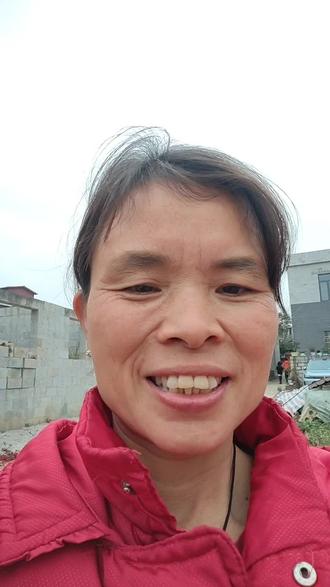 马年行马运,2026年,遇见最好的自己而努力拼搏,马上来财,马到成功,一马当先,##聊天分享主播 ,创业路上未来可期