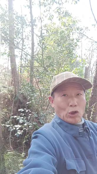 除夕放鞭的说法
#欢欢喜喜过大年
#知识分享
#上热门🔥
@老喻不懂纸