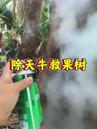#天牛防治 #天牛克星 #农资肥料 #价格实惠 #三农