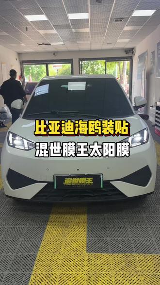 如果你还在用黑乎乎的太阳膜,我劝你早点换掉#太阳膜#隔热膜#专业汽车贴膜#邓州#比亚迪海鸥