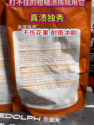 打不住的柑橘溃疡病就用它#柑橘种植 #柑橘溃疡病 #脐橙溃疡病 #柑橘病虫害 #溃疡病 @抖音创作小助手
