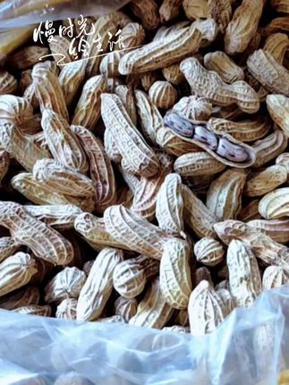 正宗龙岩七彩湿烤花生#强烈推荐