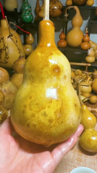 第10集:花皮葫芦的玩法#葫芦娃 #盘葫芦