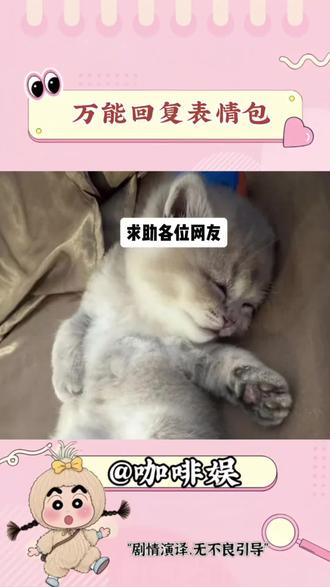 晒出你的万能回复表情包吧#搞笑 #娱乐 #万万没想到