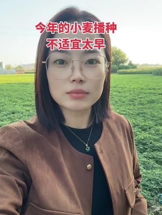 小麦播种的时间 #小麦#三农#老百姓关心的话题 #抖音助农 #抖音热点