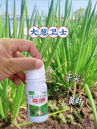 源头厂家大葱卫士 病菌清香葱干尖黄叶枯萎根腐黑斑软腐中量元素#大葱卫士#大葱
