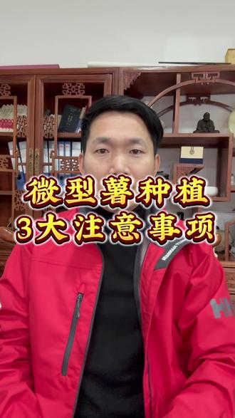 微型薯种植的3大注意事项 #马铃薯 #微型薯 #种植 #知识