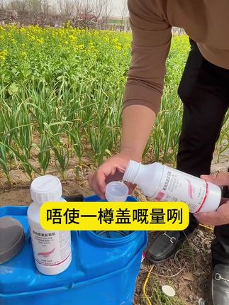 #农业种植#杀虫剂#病虫害防治#防治害虫#高效氯氟氰菊酯