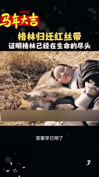 不得不告诉大家。#重返狼群 #狼王格林 #李微漪 #格林