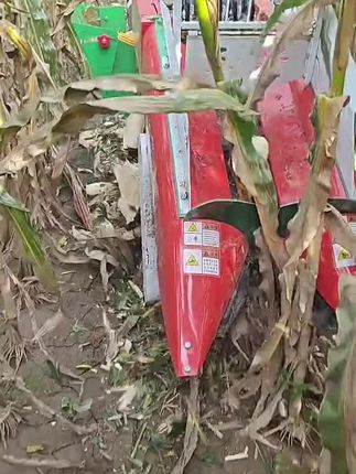 三兴小旋风,剥皮快又轻 收获小行距玉米地,小旋风轻松应对,非常方便#一机多用省时省力省人工 #玉米收割机