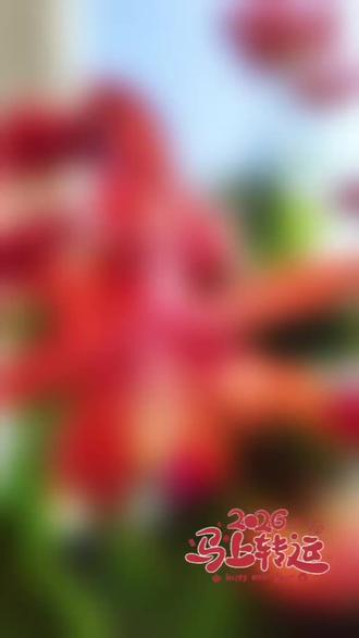 祝大家,2026好运连连!