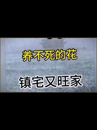 夸孩子也是一门学问要用对方式,不然只能适得其反。#亲子教育 #育儿 #家庭教育 #父母课堂 #干货分享