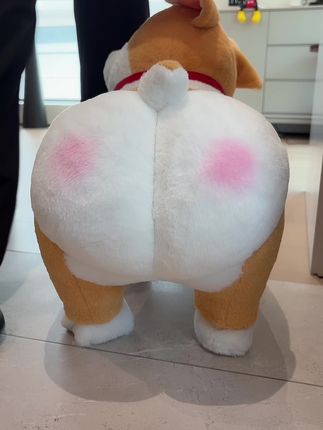 小短腿柯基换鞋凳#也太可爱了吧 #狗狗 #柯基 #柯基小短腿 #可爱的人总是发现可爱的事