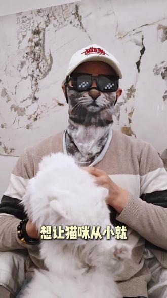 猫咪社会化训练保姆级教程!想让猫咪亲人黏人,这5步你就跟着学吧!#猫咪的迷惑行为 #猫咪训练 #新手养猫 #养猫经验分享 #猫咪