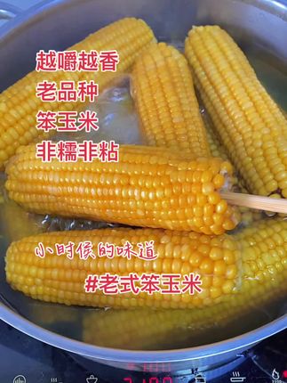 #创作灵感 小时侯到这个季节 、抢着吃的老式笨玉米上市了,不粘不糯 富含膳食纤维 越嚼越香#点击小黄车直接购买 #老式笨玉米