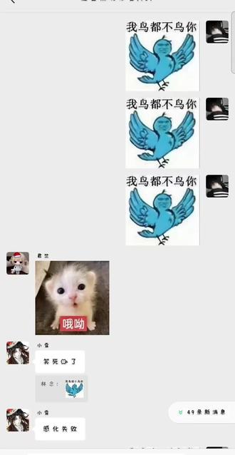 就因为我发了这个表情包后面…