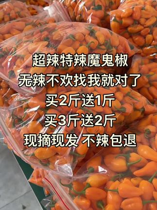 超辣特辣魔鬼椒 #魔鬼辣椒 #特辣辣椒 #变态辣 #超辣 #优质农产品