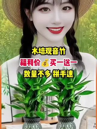 #水培观音竹 #富贵竹 #观音竹又叫富贵竹 #室内绿植