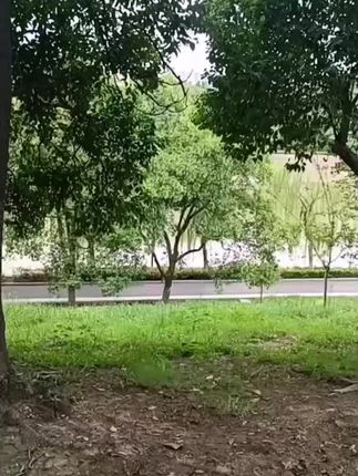 老北京布鞋