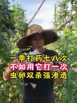 一季打药七八次,不如用它打一次,虫卵双杀强渗透 一季打药七八次,不如用它打一次,虫卵双杀强渗透#杀虫剂 #打药 #病虫害防治 #农资肥料 #农业种植
