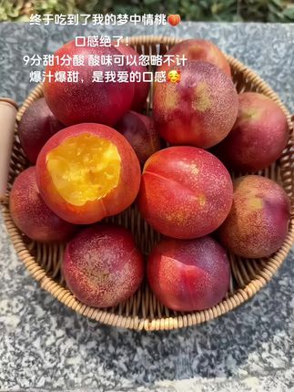 终于吃到了我的梦中情桃🍑口感绝了! 9分甜1分酸 酸味可以忽略不计 爆汁爆甜,是我爱的口感🥰#麻点油桃 #新鲜采摘 #新鲜现摘 #快来一起尝个鲜 #水果