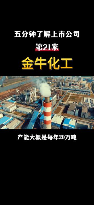五分钟了解一家上市公司,第二十一家-金牛化工#财经 #上市公司 #财经知识 #金牛化工