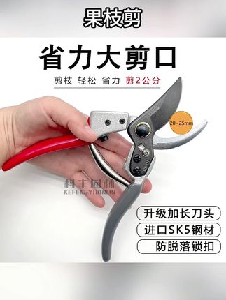 本修枝剪SK5钢刀头,锋利耐用。手柄包胶握感舒适。价格不贵,养花种树庭院修剪好帮手。老头一直用,感觉很不错哦。#园林工具 #修枝剪 #果树种植 #修剪树枝 #花卉绿植