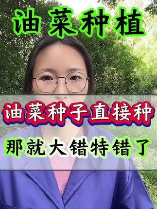 #油菜种植 #油菜管理 #三农流量扶持计划 #农业技术推广 #农业种植