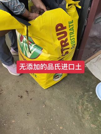 @60后芳姐的花园