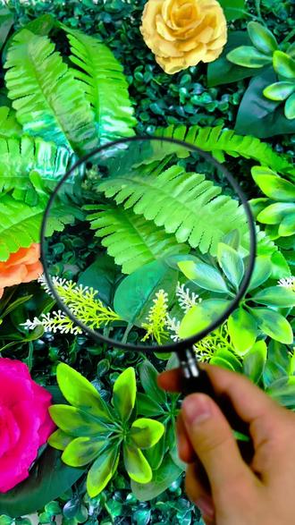 定制透明保持器 波浪款切割工艺不磨牙龈,高端进口材质,通透轻薄,耐磨不易裂。上午十点来我直播间!#透明保持器