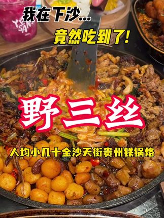 人均小几十金沙天街吃到地道贵州烙了!就是这家野三丝!#野三丝贵阳铁板烧 #金沙天街 #贵阳铁板烧 #野三丝 一次可用4张 除了酒水饮料外可用 中秋国庆不可用