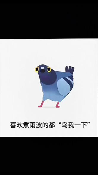 都鸟我一下好不好@煮雨波 #煮雨波#煮雨波的珍惜