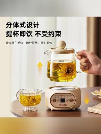 秋天在家煮点热乎乎的养生茶真的太方便了 #方便又实用 #养生壶 #强烈推荐 #懒人必备 #热水壶
