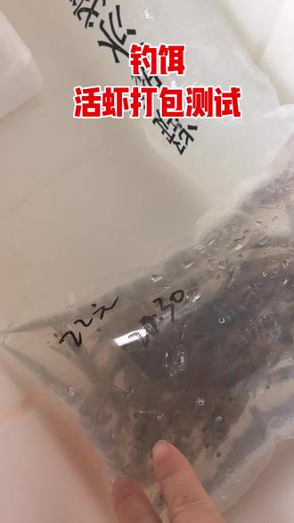 #厦门钓鱼虾,#户外#钓鱼
钓鱼小白虾好用、出行存放总是不方便,今天来试试这个存放方式,遗憾没成功还是有损耗