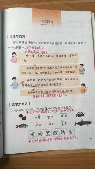 三上语文园地七,避开这些坑多拿10分✅#三年级上册语文 #小学语文 #语文园地 #重点解析 #家长必看