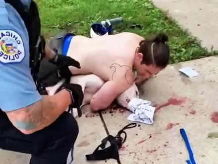 养犬小心被拘#新治安管理处罚法 #法律#上热搜#社会新闻 #文明养狗