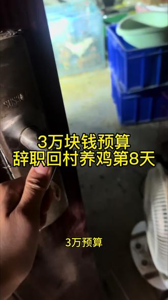 今天做抬高鸡棚工作#养鸡人 #养殖不易每天记录 #返乡创业青年 #观赏鸡