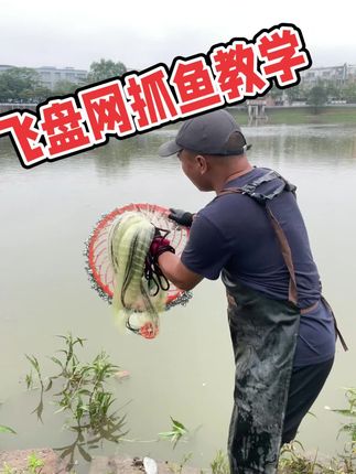 #飞盘网抓鱼 #飞盘网撒网教程