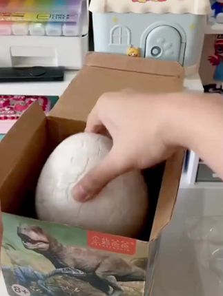 #化石玩具